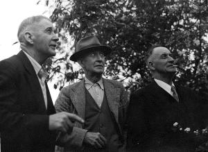 Archibald, William & Donald Baxter, all conscientious objectors (Otago Daily Times)